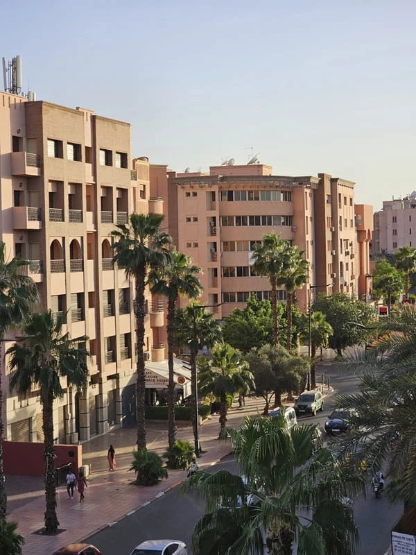 Residential street with palm trees and apartment buildings in Guéliz, Marrakech.